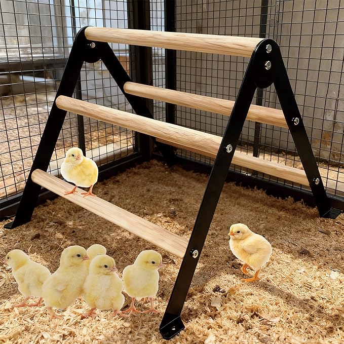 Baby Chick Perch Toys for Coop, Metal Stand with Natural Wooden Roosting Bars,Angle-Adjustable Chicken Coop Toys, Birds Training Platform for Cockatiels, Lovebirds and Parrot,15.7"L x 17.7"W x 13.2"H