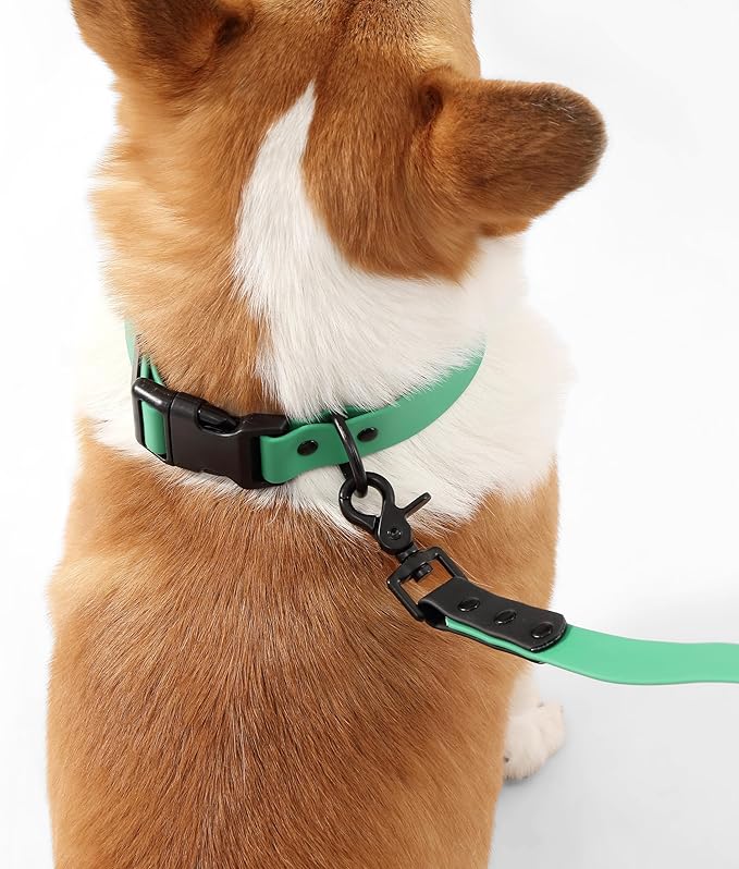 WLK1005K-5SET Luna Medium 8FT Adjustable 6-in-1 Waterproof Hands-Free Leash and Collar with LED Flashlight, Bag Dispenser, and Poop Bag Holder, Julep