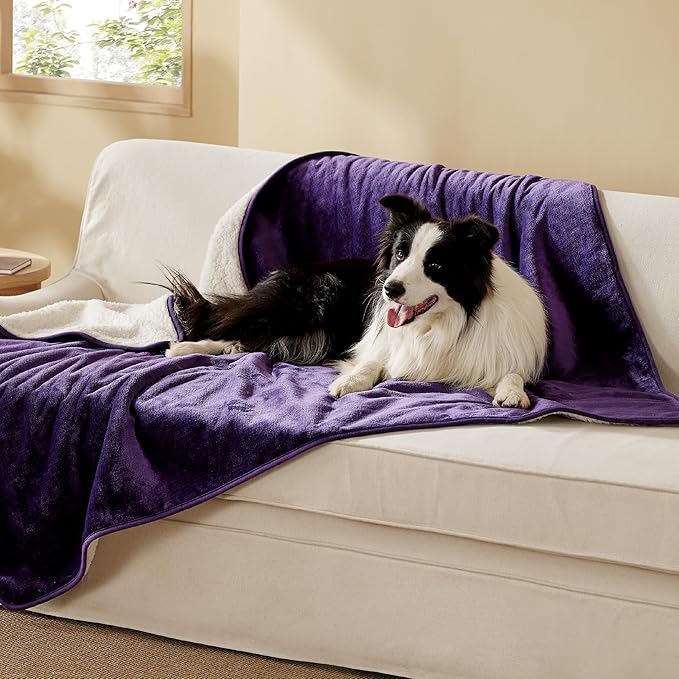 Bedsure Waterproof Dog Blankets for Large Dogs - Large Cat Blanket Washable for Couch Protection, Sherpa Fleece Puppy Blanket, Soft Plush Reversible Throw Furniture Protector, 40"X50", Eggplant