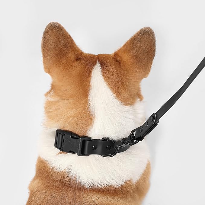 WLK1005I-5SET Luna Medium 8FT Adjustable 6-in-1 Waterproof Hands-Free Leash and Collar with LED Flashlight, Bag Dispenser, and Poop Bag Holder, Bitters