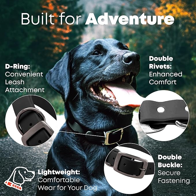 Regal Dog Products Small Black with Custom Engraved Reflective Dog Collar and Leash Set | Waterproof Dog Collar with D Ring | Center Ring & 5'ft Leash | Matching Dog Collar and Leash for Dogs