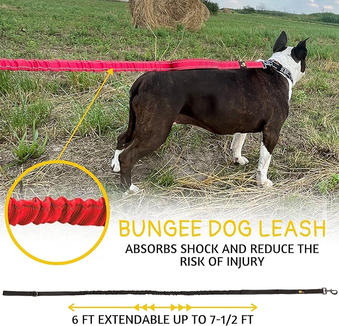 ADITYNA Tactical Bungee Dog Leash 6ft-7.5ft - Shock Absorbing Lead with 2 Padded Handles, Metal Clasp, Car Seatbelt - Heavy Duty No Pull for Medium, Large & XL Breeds