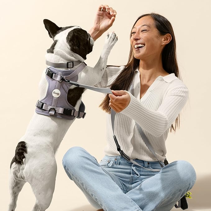 WLK1006N-5SET Luna Large 8FT Adjustable 6-in-1 Waterproof Hands-Free Leash and Collar with LED Flashlight, Bag Dispenser, and Poop Bag Holder, Martini