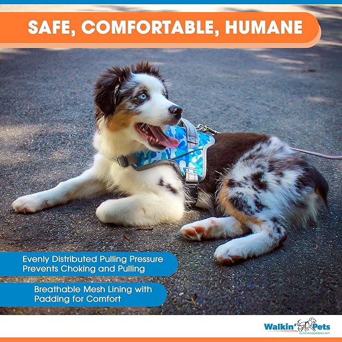 Walkin’ Warrior No Pull Dog Harness, Adjustable Straps for Custom Fit, Compatible with Dog Wheelchair, Breathable Mesh Lining for Comfort