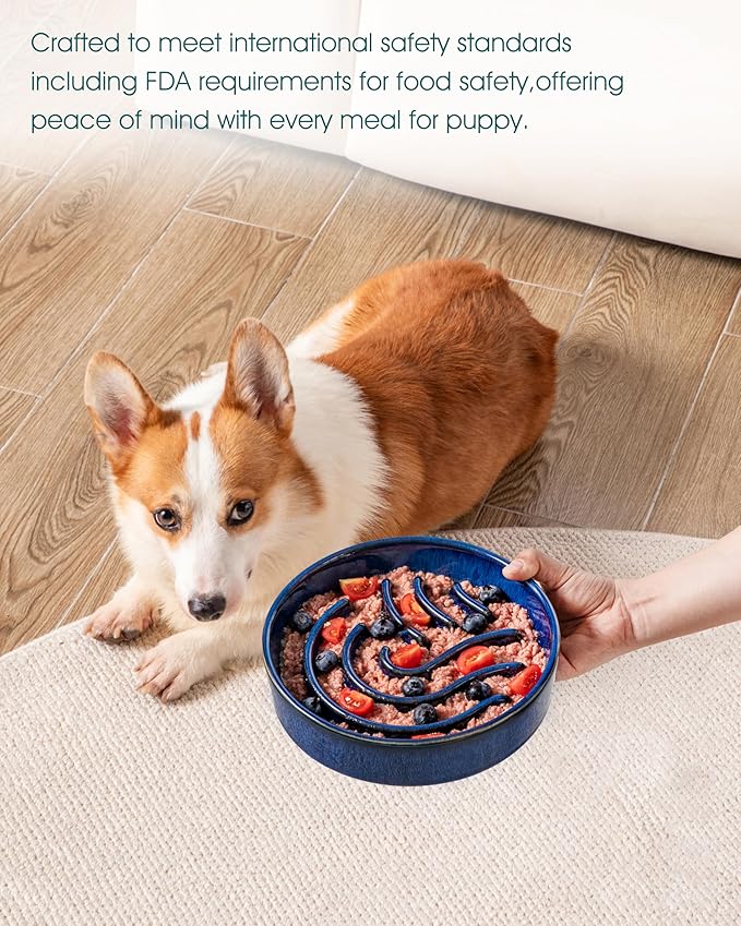 vancasso Slow Feeder Dog Bowl, 1.5 Cup Ceramic Slow Feeding Food Dish for Small and Medium Breed, Puzzle Dog Food Bowl for Fast Eater, Blue