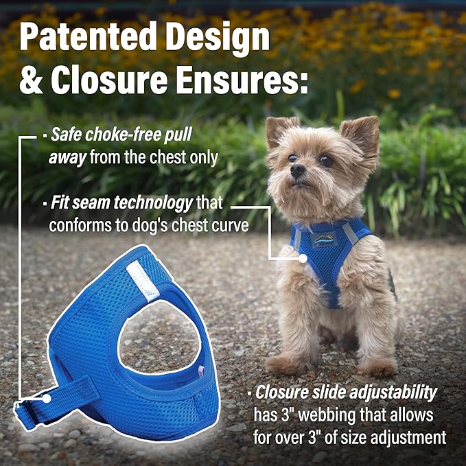 Doggie Design Dog Harness - No Choke Dog Harness, Dog Vest, Mesh Polyester, Pet Harness, Simple Step in and Go Design, Harness for Dog - Cobalt Blue, S