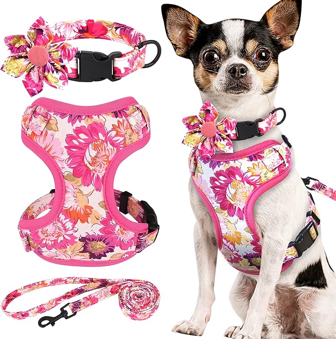 Beirui Cute Girl Dog Collars, Harnesses & Leashes Set - Adjustable Dog Collar and Leash Set with Flower - Soft Mesh Dog Vest Harness for Puppies Small & Extra Small Dogs Cats (Pink-2,XXS)