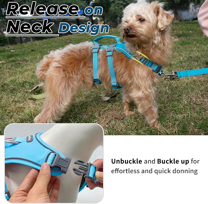 Escape Proof Dog Harness and Leash Set, Lightweight Dog Harness with Lift and Assist Handle, No Pull Reflective Pet Vest for Small Medium Dogs, Ideal for Puppy Walking and Training (Blue, S)