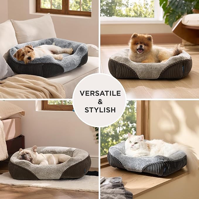 Bedsure Washable Dog Bed Medium Size Dog - Rectangle Fluffy Plush Big Pet Bed, Corduroy Fleece and Nonskid Bottom,30x24x8inches,Suitable for Pet Up to 35lbs,Grey