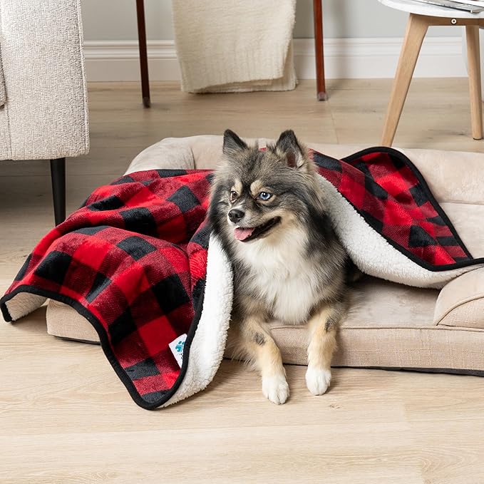PetAmi Waterproof Dog Blanket for Small Medium Dogs, Pee Proof Pet Blanket for Couch Bed, Reversible Water Proof Blanket for Puppy Indoor Cat, Soft Dog Fleece Blankets Washable, 29x40 Checkered Red