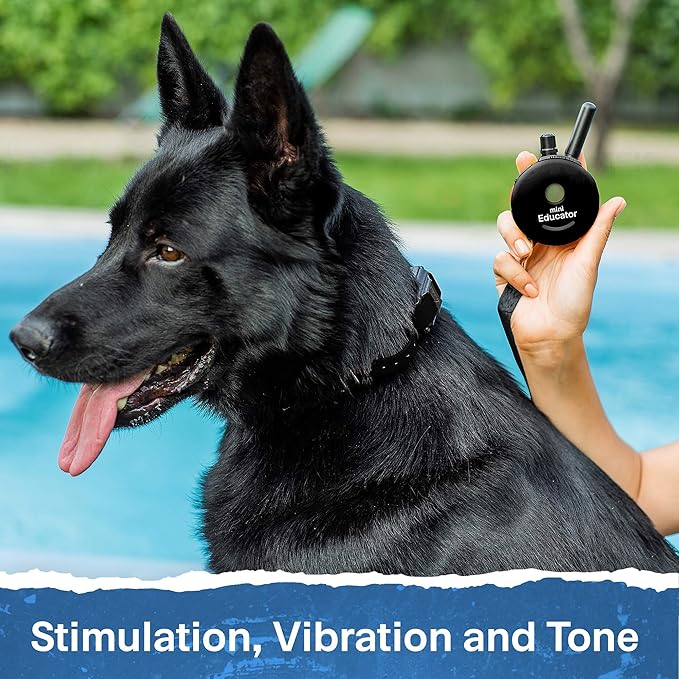 Educator ET-302 Black Mini E Collar for Dog Training with Remote - 1/2 Mile Range, Waterproof, 100 Blunt Stimulation Levels, Tone or Vibration Mode, Night Light for Small, Medium & Large Dogs (2 Dogs)
