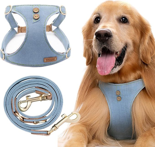 Dog Harness, No Pull Dogs Harness and Multi-Function Leash Set for Medium Dogs Easy Walk Everyday Adjustable Soft Dog Vest Harness Fashionable Dog Accessories Glacier Blue Button-L