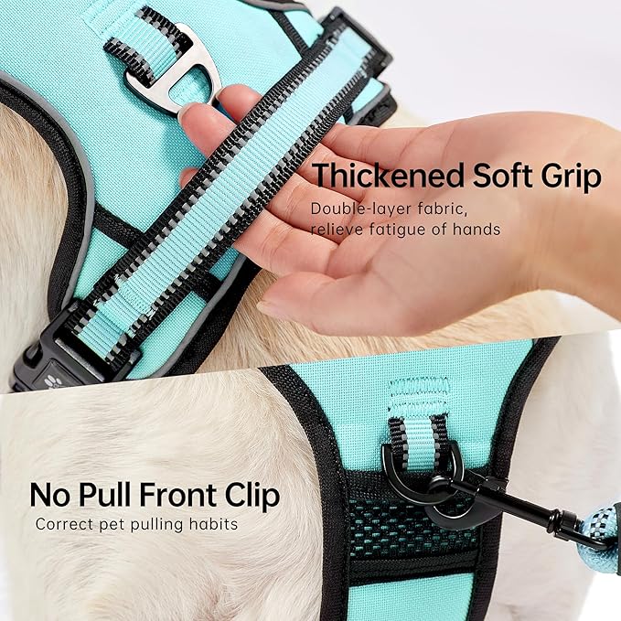 NESTROAD No Pull Dog Harness,Adjustable Oxford Dog Vest Harness with Leash,Reflective No-Choke Pet Harness with Easy Control Soft Handle for Medium Dogs(Medium,Turquoise)