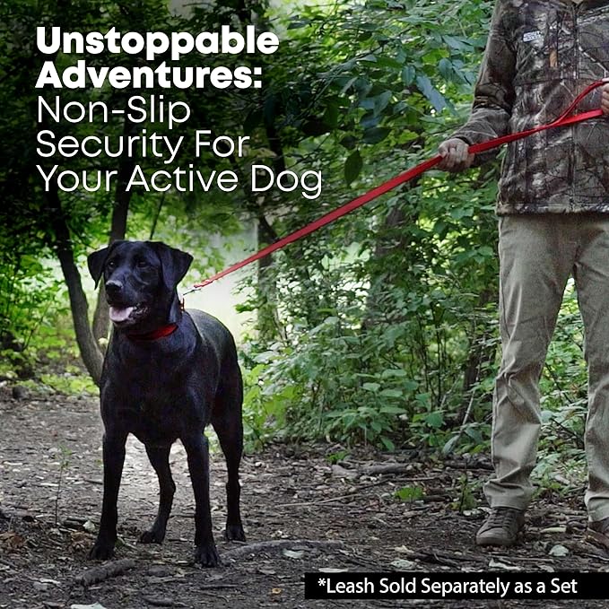 Regal Dog Products Medium Red with Custom Engraved Waterproof Dog Collar and Leash Set | Waterproof Dog Collar with D Ring | Center Ring & 5'ft Leash | Matching Dog Collar and Leash for Dogs