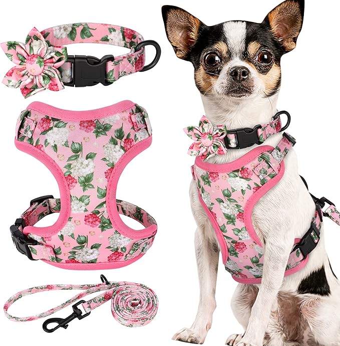 Beirui Cute Girl Dog Collars, Harnesses & Leashes Set - Adjustable Dog Collar and Leash Set with Flower - Soft Mesh Dog Vest Harness for Puppies Small & Extra Small Dogs Cats(Pink,XXS)