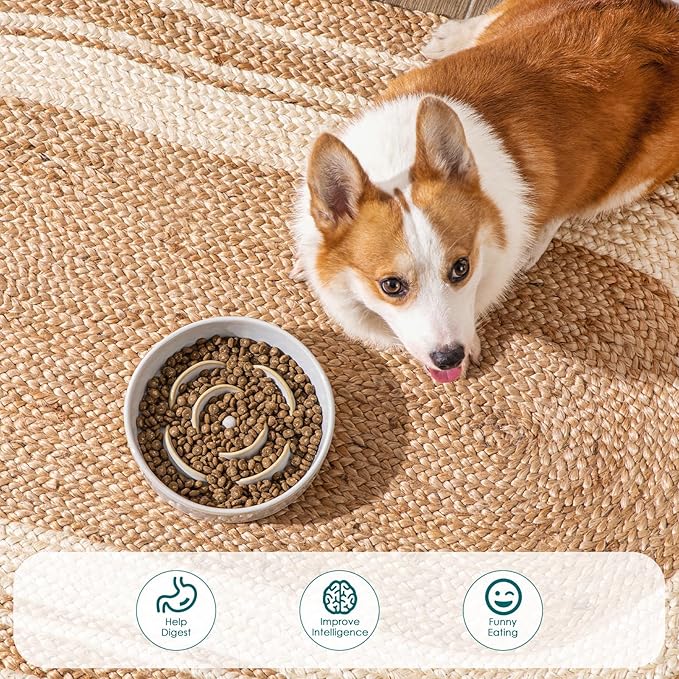 vancasso Slow Feeder Dog Bowl, 1.5 Cups Ceramic Slow Feeder for Medium Breed, Puzzle Maze Dog Food Bowl for Fast Eater, Light Gray