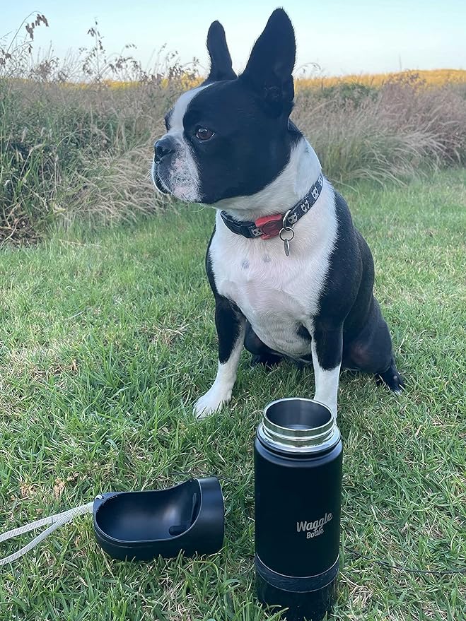 Stainless Steel Dog Travel Water Bottle, Vacuum Insulated Portable Dog Water Dispenser, Drink Cup and Snack Container On The Go, Outdoor Walking, Hiking, Travel (Forest Green)