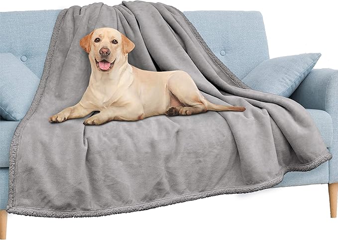 PAVILIA Waterproof Blanket for Couch, Sofa | Waterproof Dog Blanket for Large Dog, Puppy, Cat | Pet Blanket Protector | Plush Soft Warm Fuzzy Sherpa Blanket Bed Throw, Light Grey, 90x90