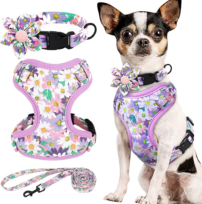 Beirui Cute Girl Dog Collars, Harnesses & Leashes Set - Adjustable Dog Collar and Leash Set with Flower - Soft Mesh Dog Vest Harness for Puppies Small & Extra Small Dogs Cats (Purple,XXS)