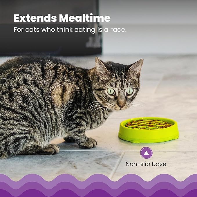 Catstages Kitty Slow Feeder Bowl for Cats & Small Dogs, Puzzle Dish for Fast Eaters, for Wet or Dry Food, Helps Slow Eating & Aid Digestion, Non-Slip, Made Without BPA, 3/4 Cup, 5-Inch, Green