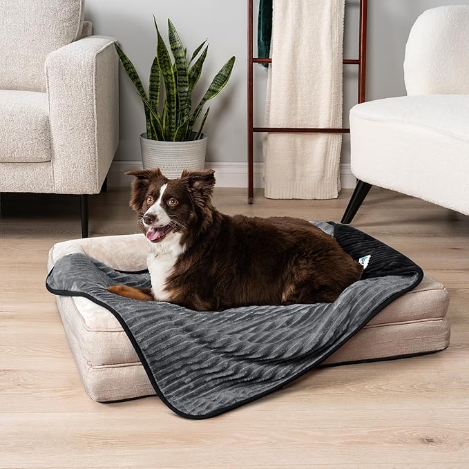 PetAmi Waterproof Dog Blanket, Leakproof Pet Blanket for Small Medium Large Dogs, Reversible Furniture Bed Sofa Couch Cover Protector, Plush Striped Pet Throw for Indoor Cat, 40x60 in, Black Grey