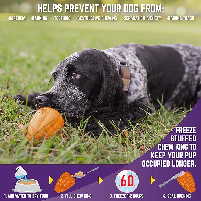 Chew King by Mammoth Premium Treat Dog Toy, Extremely Durable Natural Rubber Toy, Bacon Flavored Dog Treater, Orange Medium