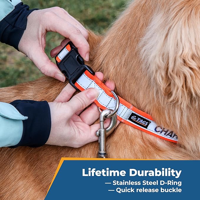 GoTags Reflective Personalized Dog Collar, Custom Embroidered with Pet Name and Phone Number in Orange for Boy and Girl Dogs, Adjustable Large
