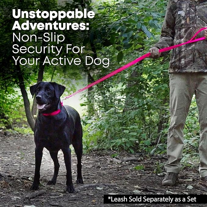 Regal Dog Products Small Pink with Custom Engraved Reflective Dog Collar and Leash Set | Waterproof Dog Collar with D Ring | Center Ring & 5'ft Leash | Matching Dog Collar and Leash for Dogs