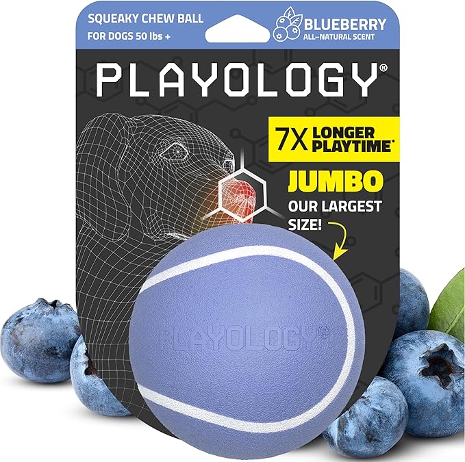 Playology Dog Toys | Squeaky Chew Ball - Bouncy Durable Floating Fetch Ball for Dogs | Jumbo Blueberry Scented Toy - Easy to Clean and Made from Non Toxic Materials