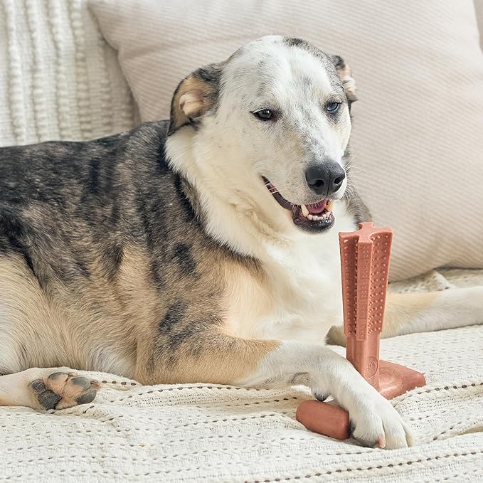 SPOT Bam-Bones Plus T Bone - Bamboo Fiber & Nylon Dog Chew Toy for Moderate to Aggressive Chewers, Non-Splintering, Long-Lasting, 7in Beef Flavor, for Adult Dogs & Teething Puppies Under 90lbs