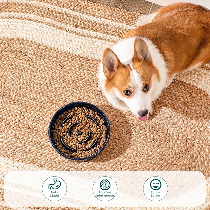 vancasso Slow Feeder Dog Bowl, 1.5 Cups Ceramic Slow Feeder for Medium Breed, Puzzle Maze Dog Food Bowl for Fast Eater, Blue