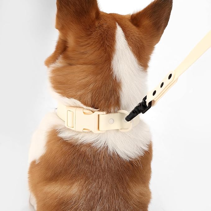 WLK1005L-5SET Luna Medium 8FT Adjustable 6-in-1 Waterproof Hands-Free Leash and Collar with LED Flashlight, Bag Dispenser, and Poop Bag Holder, Bailey