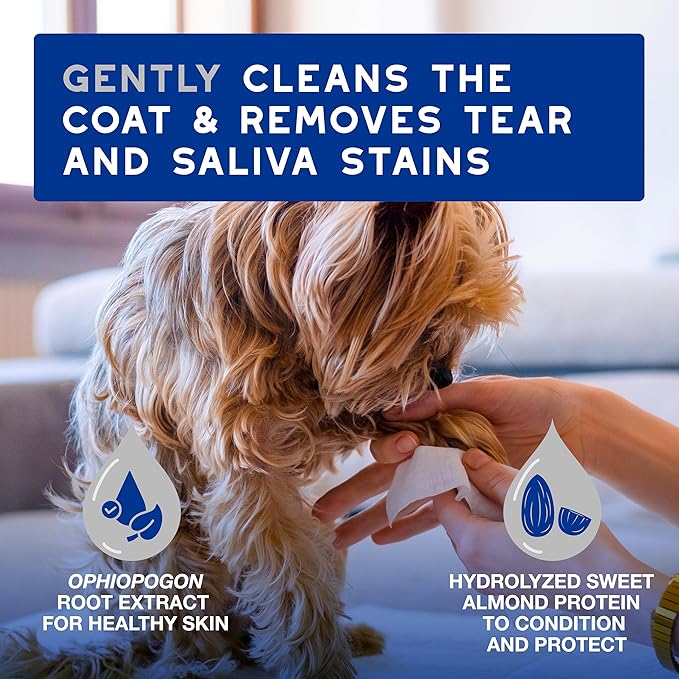 DOUXO® Skin & Coat SPA - Ultra-Safe Multipurpose Wipes for Dogs and Cats, 100 Wipes, Gently Removes Tear and Saliva Stains, Leaves the Coat and Skin Refreshed and Smelling Great, Skin-Friendly Formula