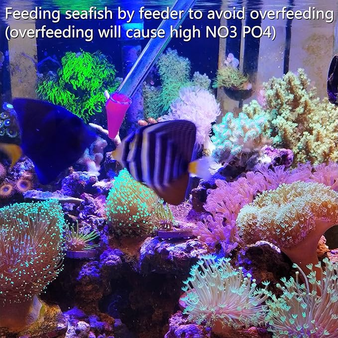 Aquarium Choice Coral Feeder Long Syringe Tube Upgraded Version 58CM/22.83Inch Length Two Units(Patented Product)