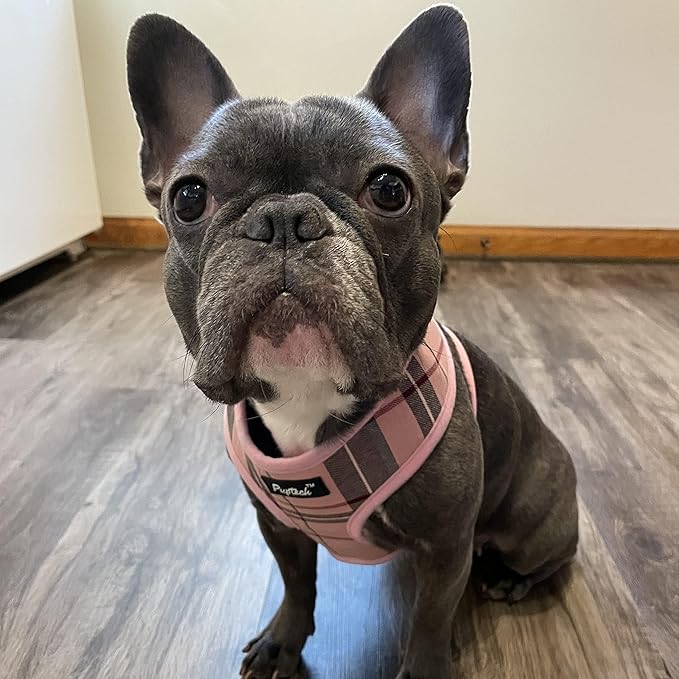 PUPTECK Soft Mesh Dog Harness and Leash Set Pet Puppy Cat Comfort Padded Vest No Pull Harnesses, Light Pink, M