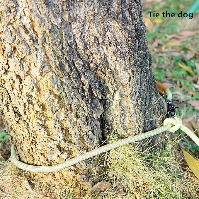 8FT Hands Free Dog Rope Leash, Waist Body Running Leash for Dog Walking (Lime Green, 8FTx10MM)