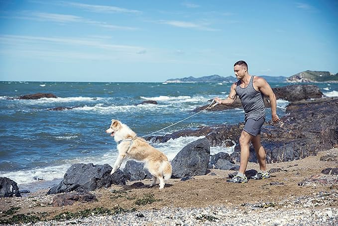 Dog Harness, No Pull Dogs Harness and Multi-Function Leash Set for Medium Dogs Easy Walk Everyday Adjustable Soft Dog Vest Harness Fashionable Dog Accessories Glacier Blue Button-Relaxed Medium