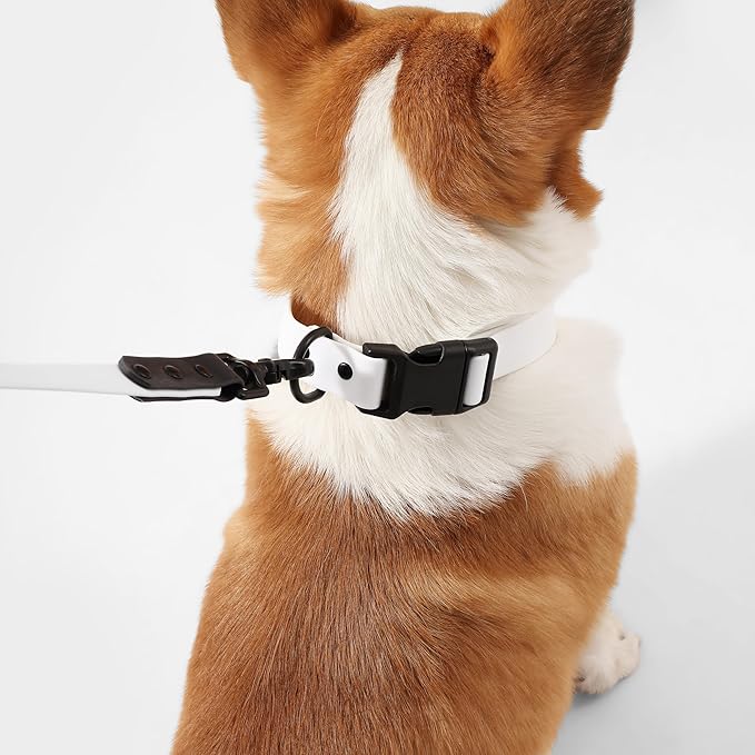 WLK1005F-5SET Luna Medium 8FT Adjustable 6-in-1 Waterproof Hands-Free Leash and Collar with LED Flashlight, Bag Dispenser, and Poop Bag Holder, Seltzer