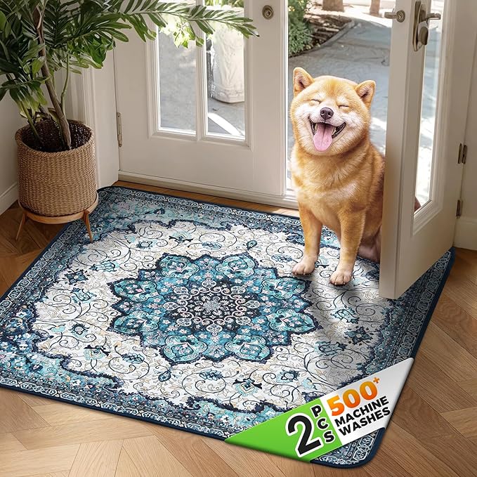 Hompet 2 Pack Super Absorbent Dog Door Mat for Muddy Paws, Washable Pee Pads for Dogs, Reusable Puppy Training Pads, Quick Dry Non-Slip Pet Entryway Rug, Leak-Proof Potty Pad for Indoor Floors 54x54