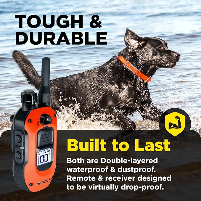 Dogtra 1900X Orange E-Collar for Dog Training - 3/4 Mile Range, for Dogs 35 lbs+, IPX9K Waterproof, 100 Stimulation Levels, Vibration, Tone, Rechargeable - Ideal for Dog Owners and Trainers