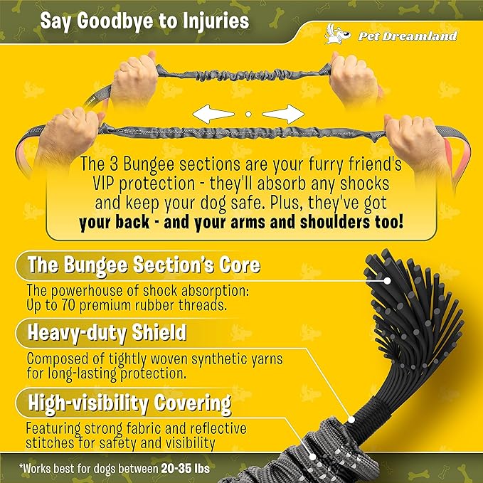 Exquisite Hands-Free Leash for Medium Dogs: Ultimate Comfort & Freedom for Running, Walking, Hiking. Premium Quality, Durable & Versatile Waist Dog Leash Belt. Your Dog Will Love It