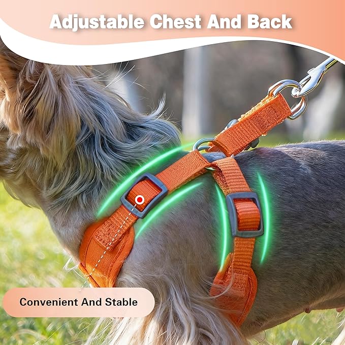 Dog Harness with Leash Set, Puppy Soft Vest No Choke No Pull, Adjustable Neck and Chest, Lightweight Harness and Anti-Twist Pet Leash Combo for Small to Medium Dogs (Orange, S-Small)