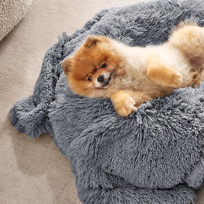 Bedsure Waterproof Dog Blankets for Small Dogs - Cat Blanket for Couch Protector Washable Long Faux Fur, Calming Soft Reversible Throw Furniture Protection for Puppy Pet, 25"x35", Grey