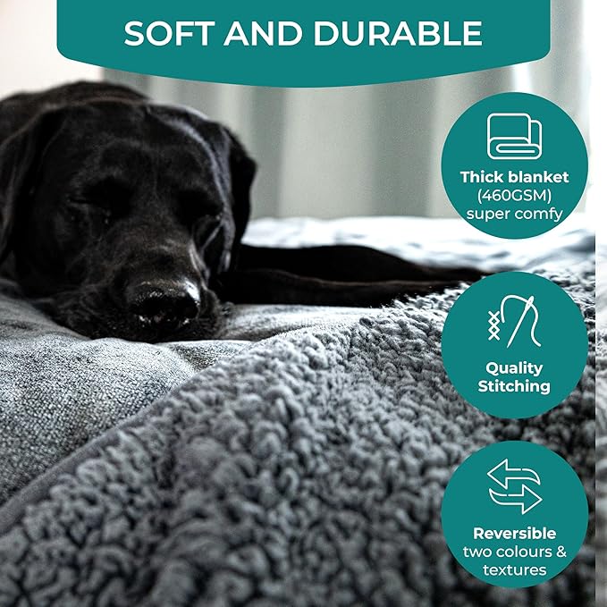 100% Waterproof Blanket for Bed - Soft Fleece Washable Waterproof Dog Blankets for Large Dogs, Pet Blankets for Bed/Couch/Dog Crate, Reversible Fluffy Furniture Protector, 60x79, Dark Gray/Gray