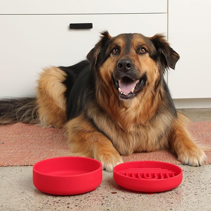 Should We Go? Slow Feeder for Dogs & Puppies, The Slowdown Bowl Silicone Slow Eating, Modern Lick Mat Design, Reduces Gulping, Fits 2 Cups, 7.5” Across x 1.5” Tall, Mealtime Challenge, Medium-Cherry