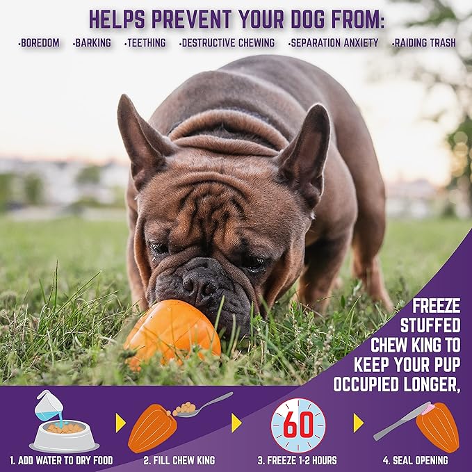 Chew King by Mammoth Premium Treat Dog Toy, Extremely Durable Natural Rubber Toy, Bacon Flavored Dog Treater, Orange Large