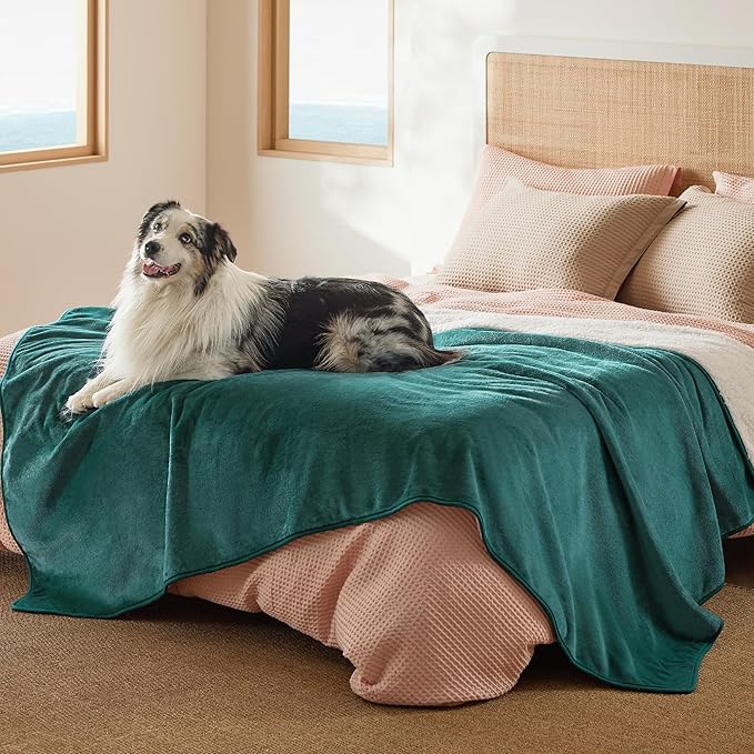 Bedsure Waterproof Blanket for Bed - Sherpa Fleece Waterproof Dog Blankets for Large Dogs, Pet Blankets for Bed/Couch/Dog Crate, Soft Plush Reversible Furniture Protector, Twin Size, 80"x60", Green