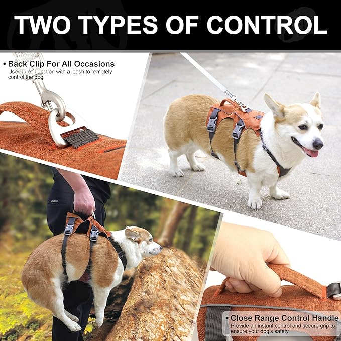 Escape Proof Dog Harness with Handle - Reflective No Pull Dog Vest, Lightweight Full Body Pet Harness Adjustable for Small Dogs Walking,Training(Orange,Chest:14-22")
