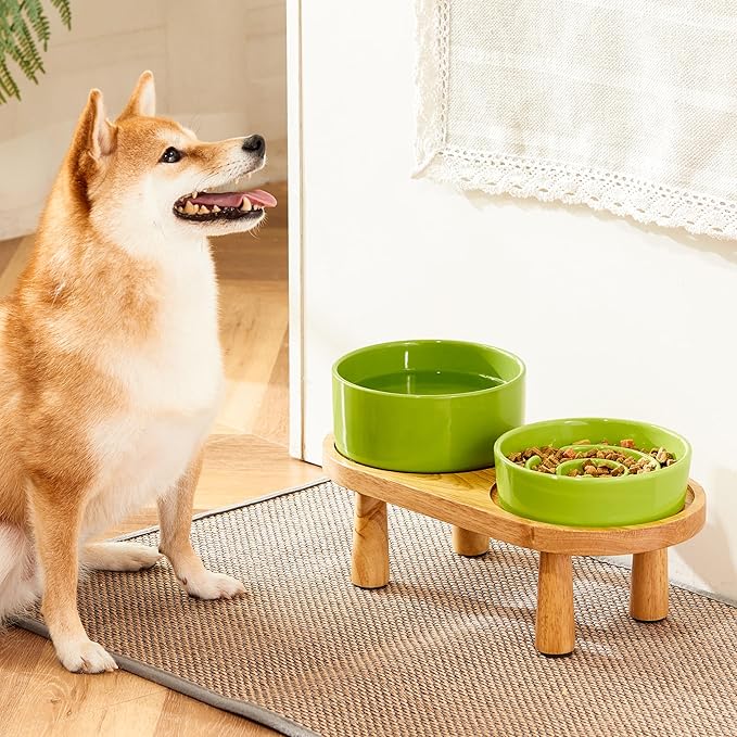 Ceramic Slow Feeder and Water Bowl Set for Small Dogs, 6.0inch Ceramic Dog Bowls Elevated with Wooden Stand, 0.6 Cups Dog Slow Feeder(14oz) and 30oz Water Bowl Set, Green