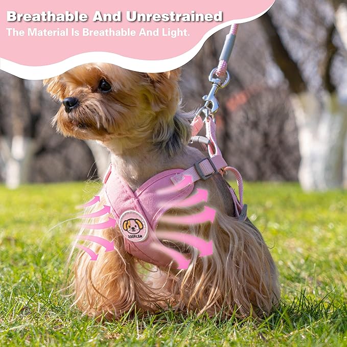 Dog Harness with Leash Set, Puppy Soft Vest No Choke No Pull, Adjustable Neck and Chest, Lightweight Harness and Anti-Twist Pet Leash Combo for Small to Medium Dogs (Pink, M-Medium)
